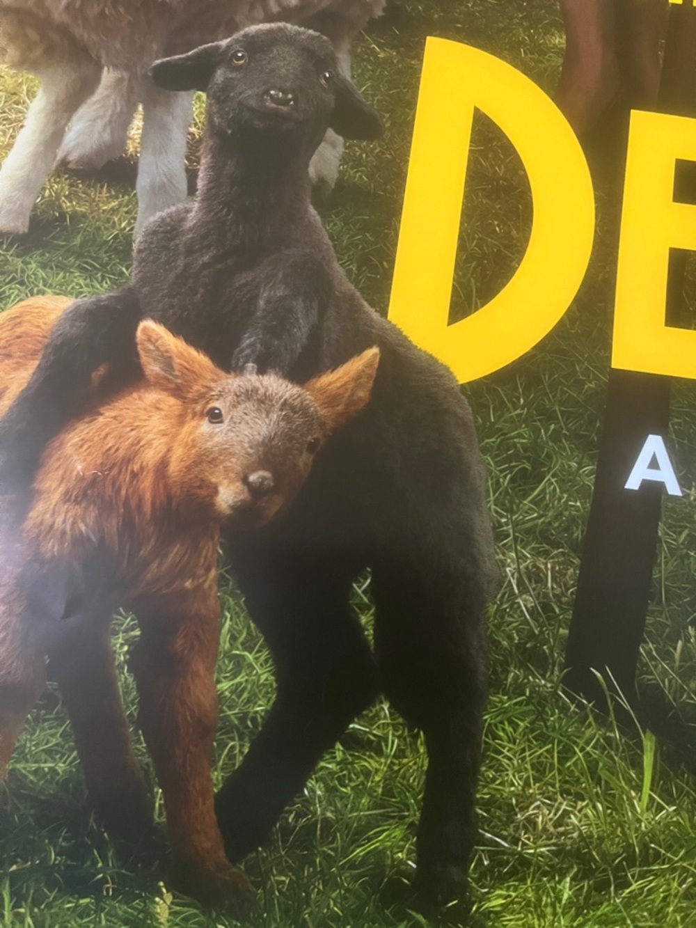 The Sheep Detectives 27x40 Movie Poster Hugh Jackman 2026 - Picture 3 of 10